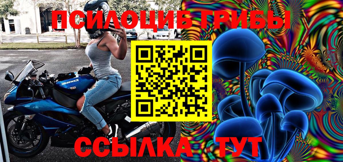 Псилоцибиновые грибы прущие грибы  Псилоцибиновые грибы ЛСД  Сафоново  Вход с VPN 